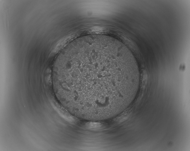 X0000110920361200907021505