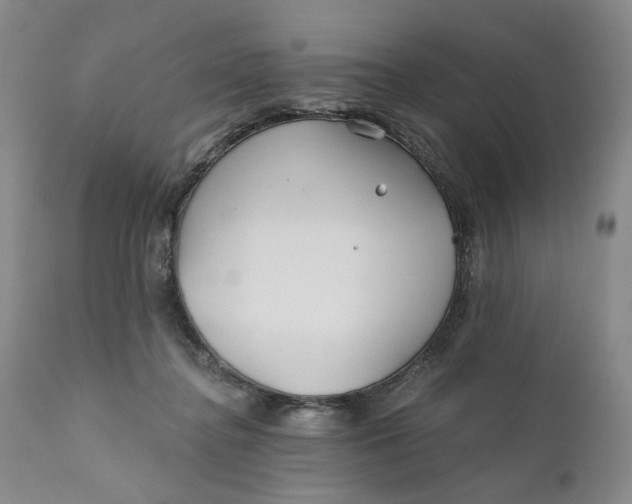X0000110920364200907021505