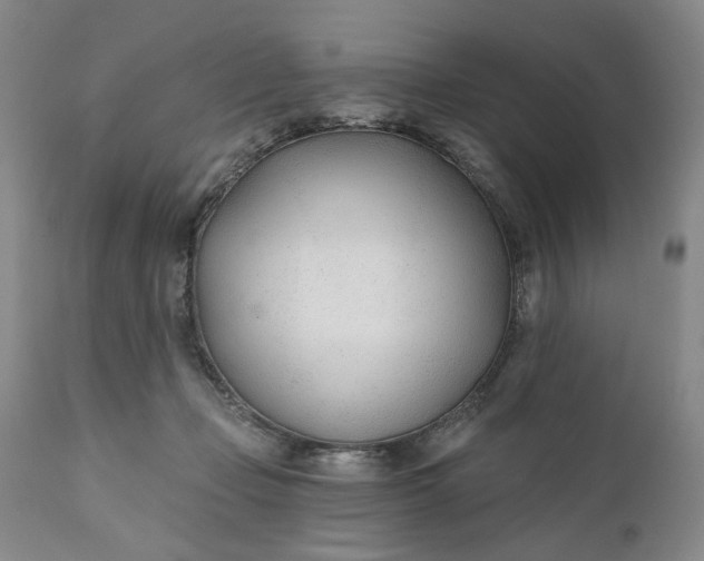 X0000110920365200907021505