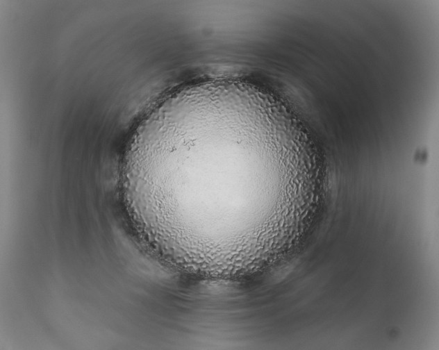 X0000110920367200907021505