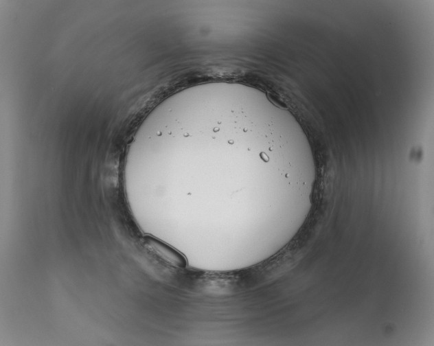 X0000110920368200907021505