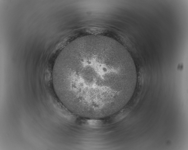 X0000110920371200907021505