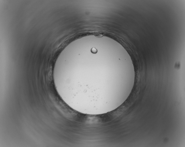 X0000110920376200907021505
