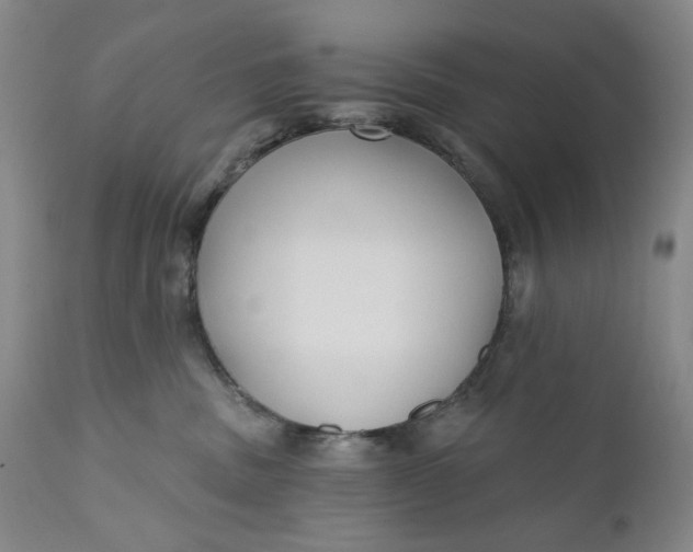 X0000110920379200907021505