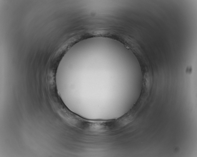 X0000110920380200907021505