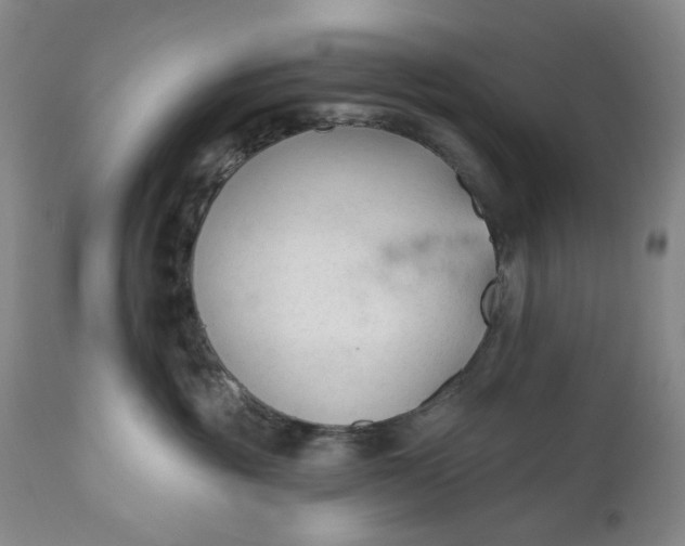 X0000110920381200907021505