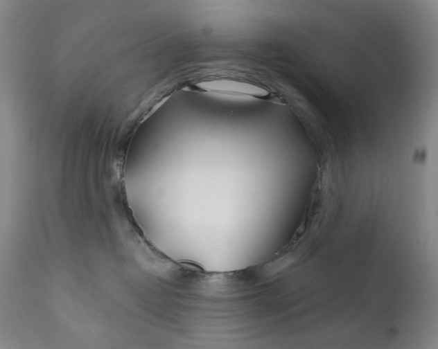 X0000110920382200907021505
