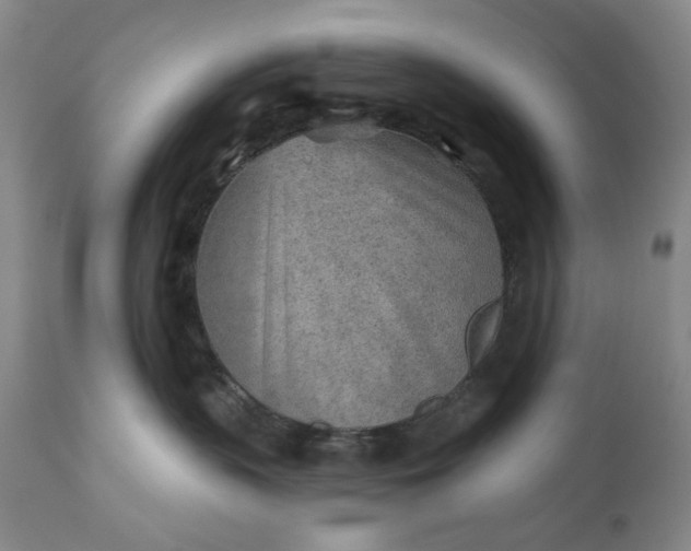X0000110920383200907021505