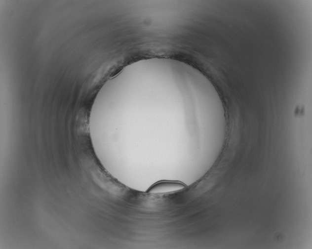 X0000110920384200907021505