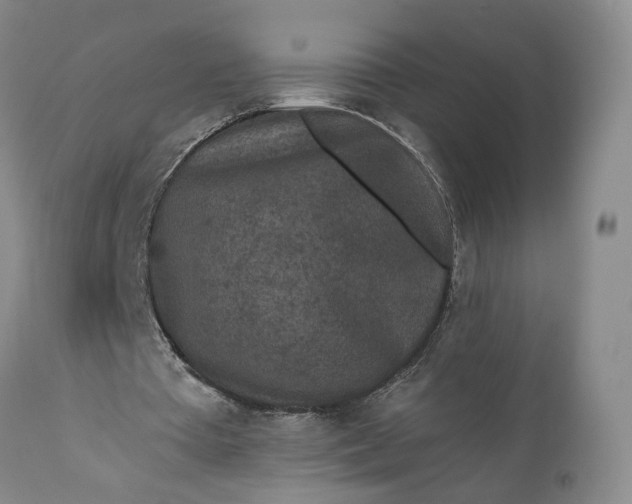 X0000110920385200907021505