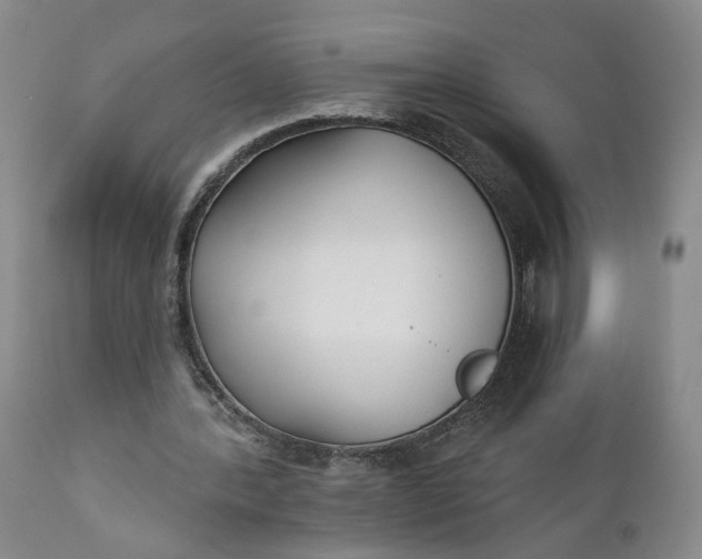 X0000110920388200907021504