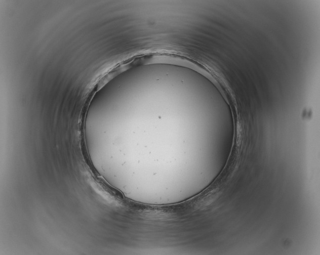 X0000110920389200907021504