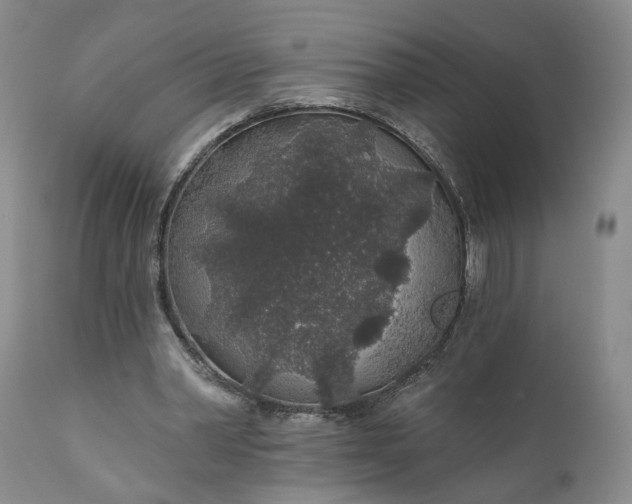 X0000110920390200907021504