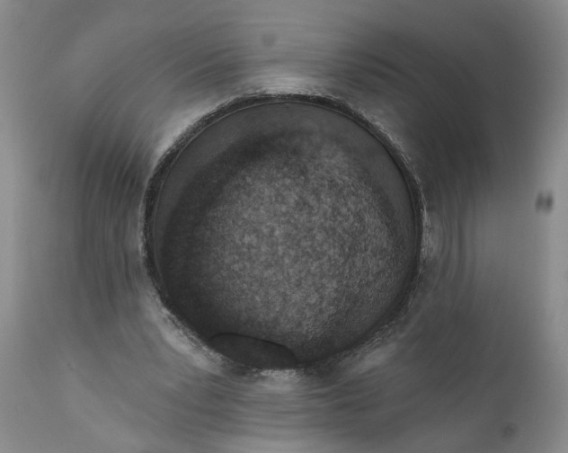 X0000110920391200907021504