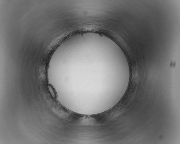 X0000110920403200907021504