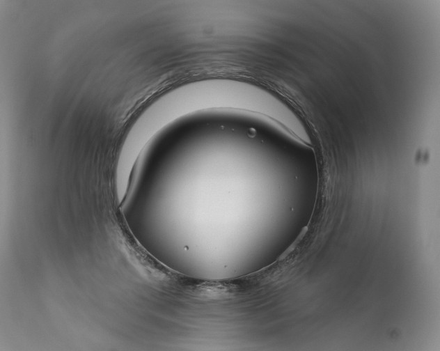 X0000110920405200907021504