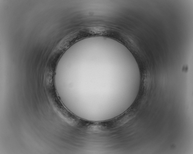 X0000110920408200907021504