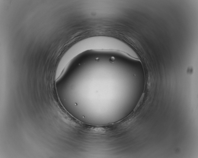 X0000110920409200907021504