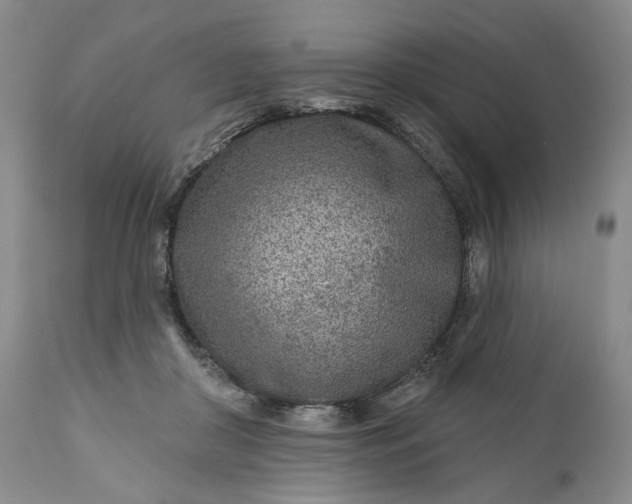 X0000110920410200907021504