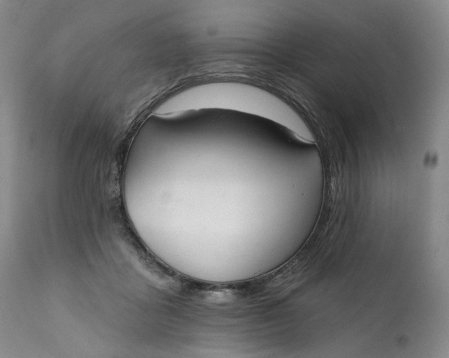 X0000110920411200907021504