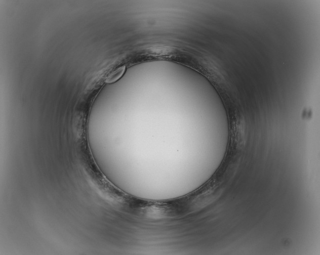 X0000110920412200907021504