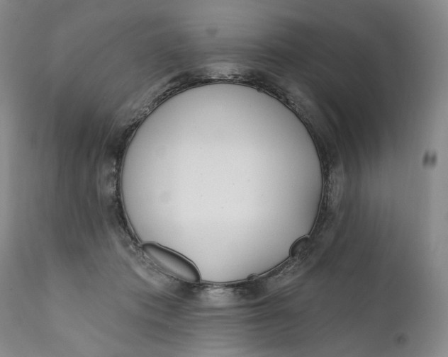 X0000110920413200907021504