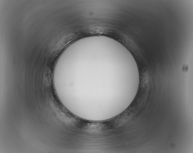 X0000110920414200907021504