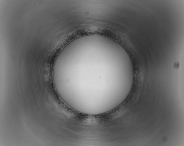 X0000110920416200907021504
