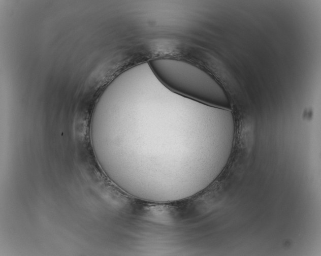 X0000110920417200907021504