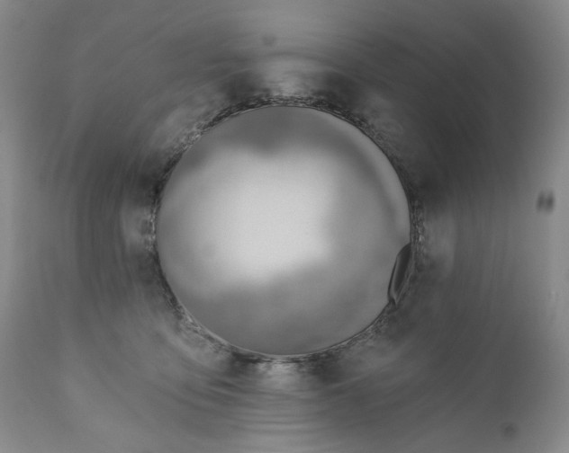 X0000110920419200907021504