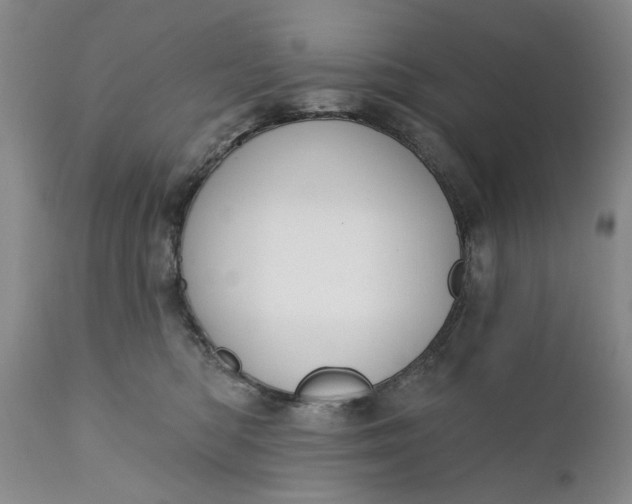 X0000110920422200907021504