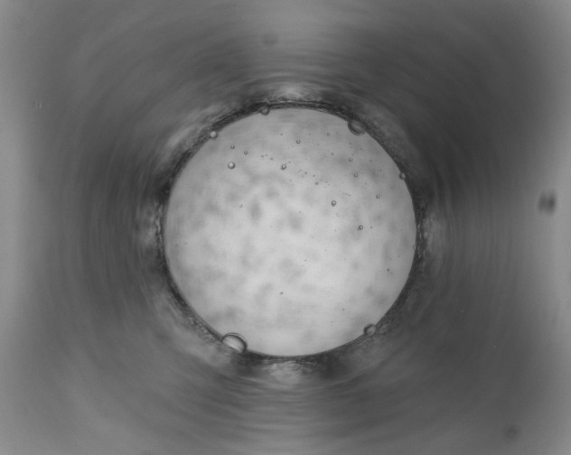 X0000110920423200907021504