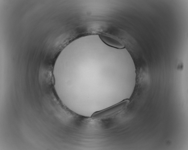 X0000110920427200907021504