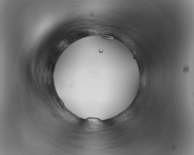 X0000110920429200907021504