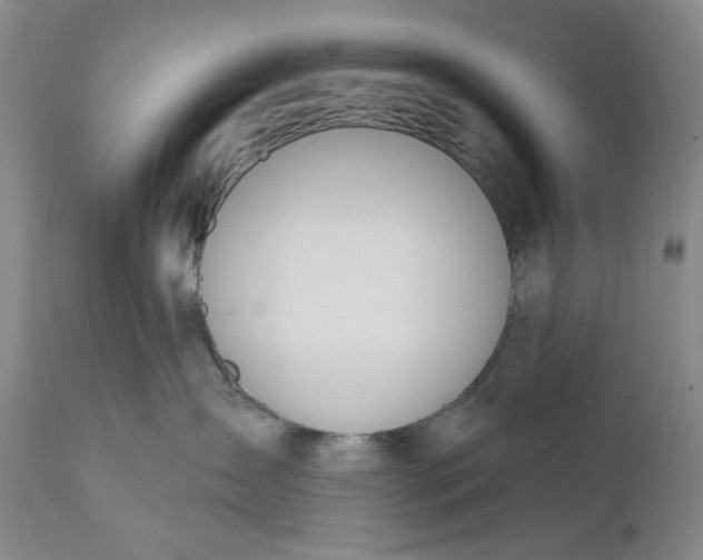 X0000110920431200907021504