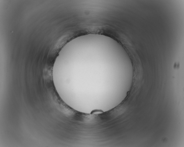 X0000110920432200907021504