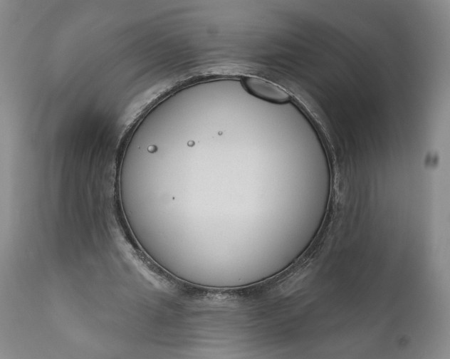 X0000110920437200907021503