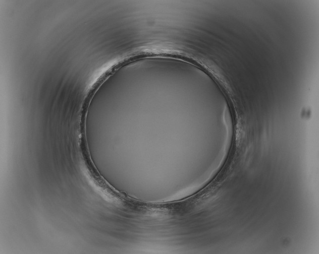 X0000110920438200907021503
