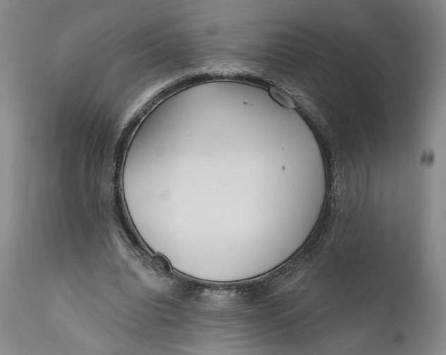 X0000110920440200907021503