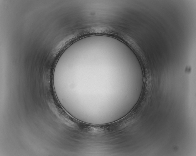 X0000110920442200907021503