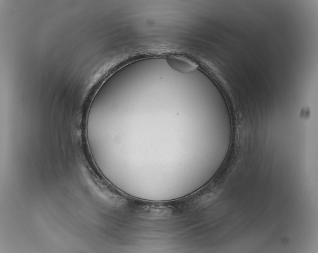 X0000110920443200907021503