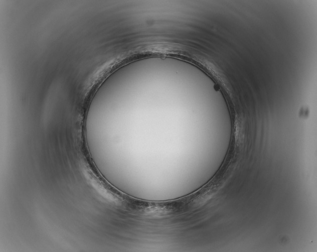 X0000110920445200907021503