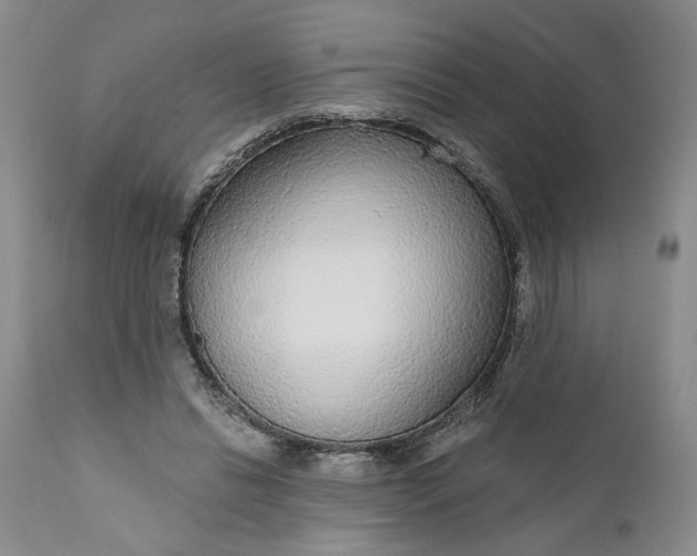 X0000110920446200907021503