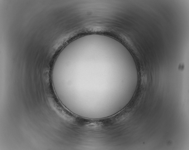 X0000110920447200907021503