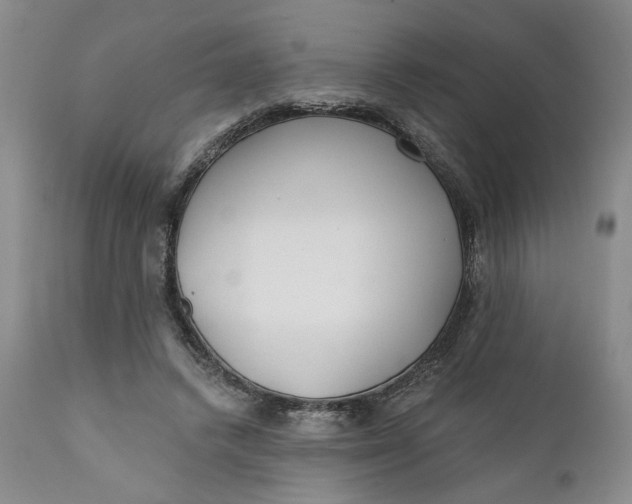 X0000110920448200907021503