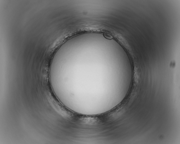 X0000110920449200907021503