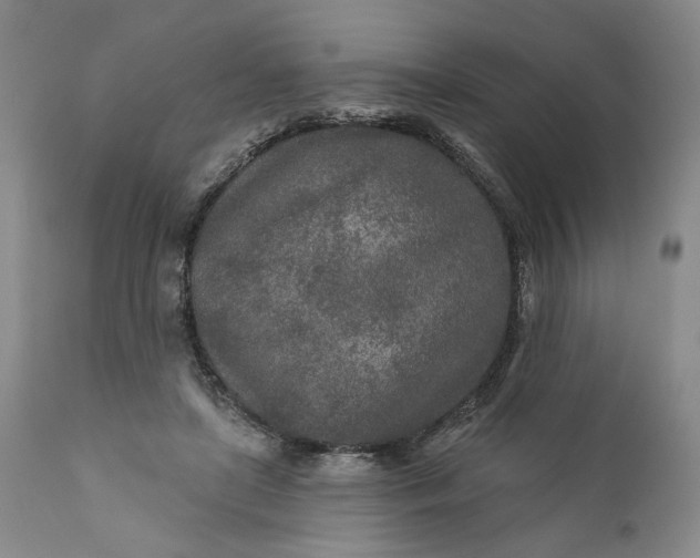X0000110920451200907021503