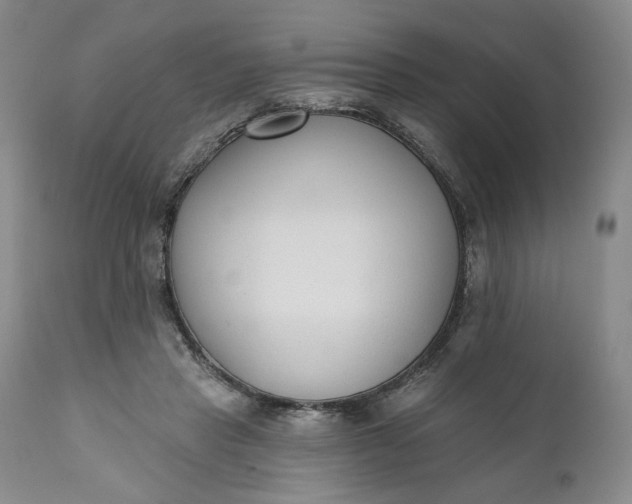 X0000110920453200907021503