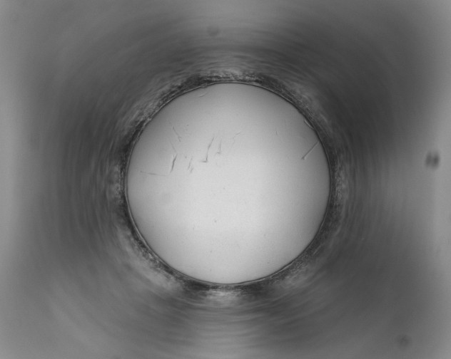 X0000110920457200907021503