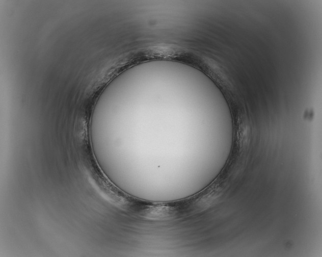 X0000110920459200907021503